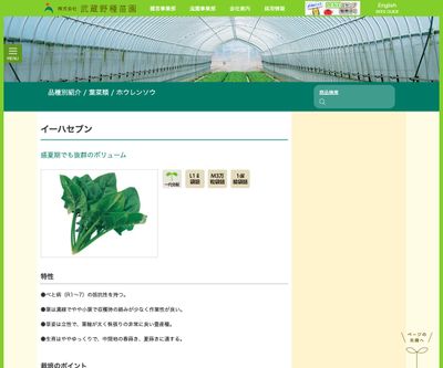 イーハセブンの画像