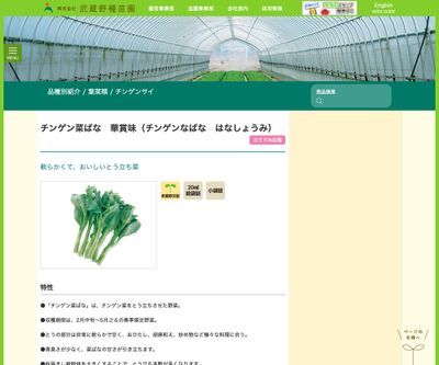 チンゲン菜ばな 華賞味の画像