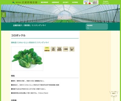 コロポックルの画像