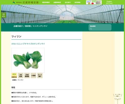 ツィリンの画像