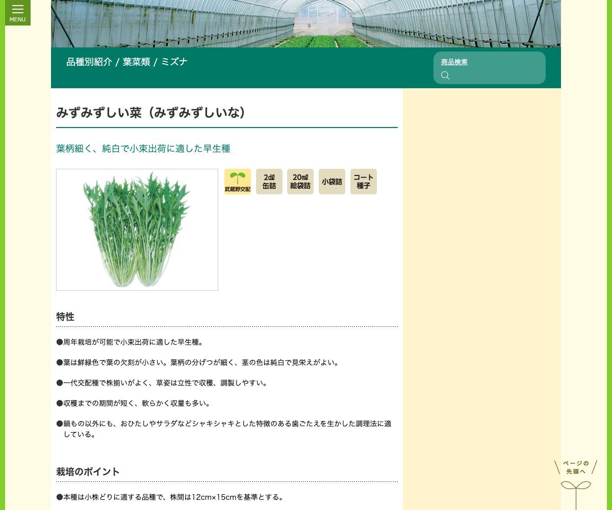 みずみずしい菜(みずみずしいな)