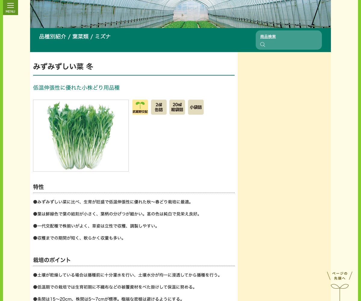 みずみずしい菜 冬