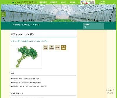 スティックシュンギクの画像