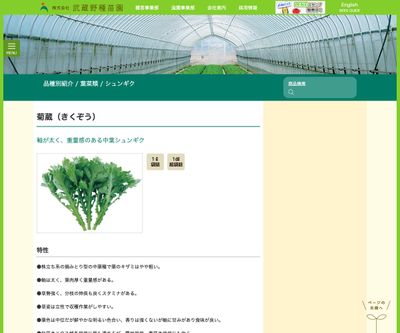 菊蔵（きくぞう）の画像