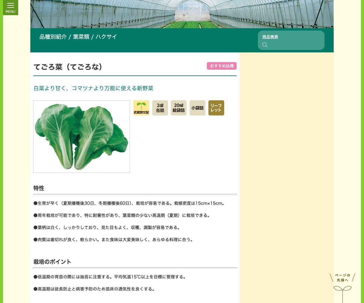 てごろ菜(てごろな)