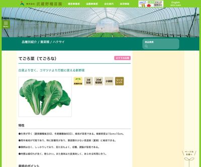 てごろ菜（てごろな）の画像