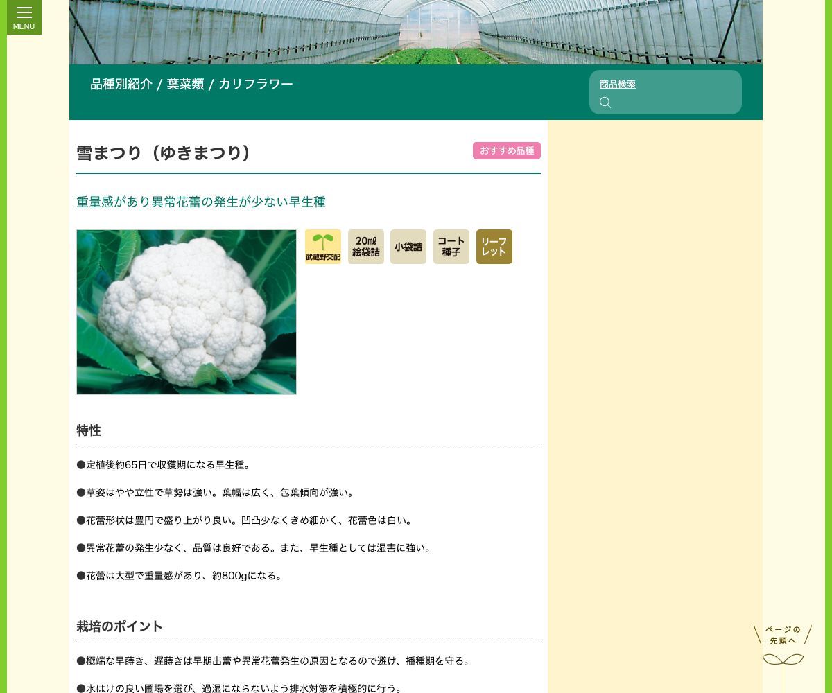 雪まつり(ゆきまつり)