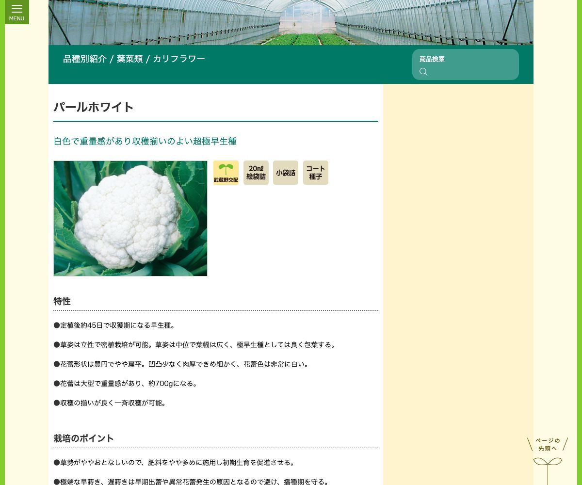 パールホワイト