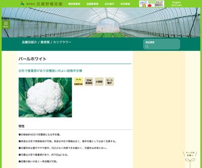 パールホワイトの画像