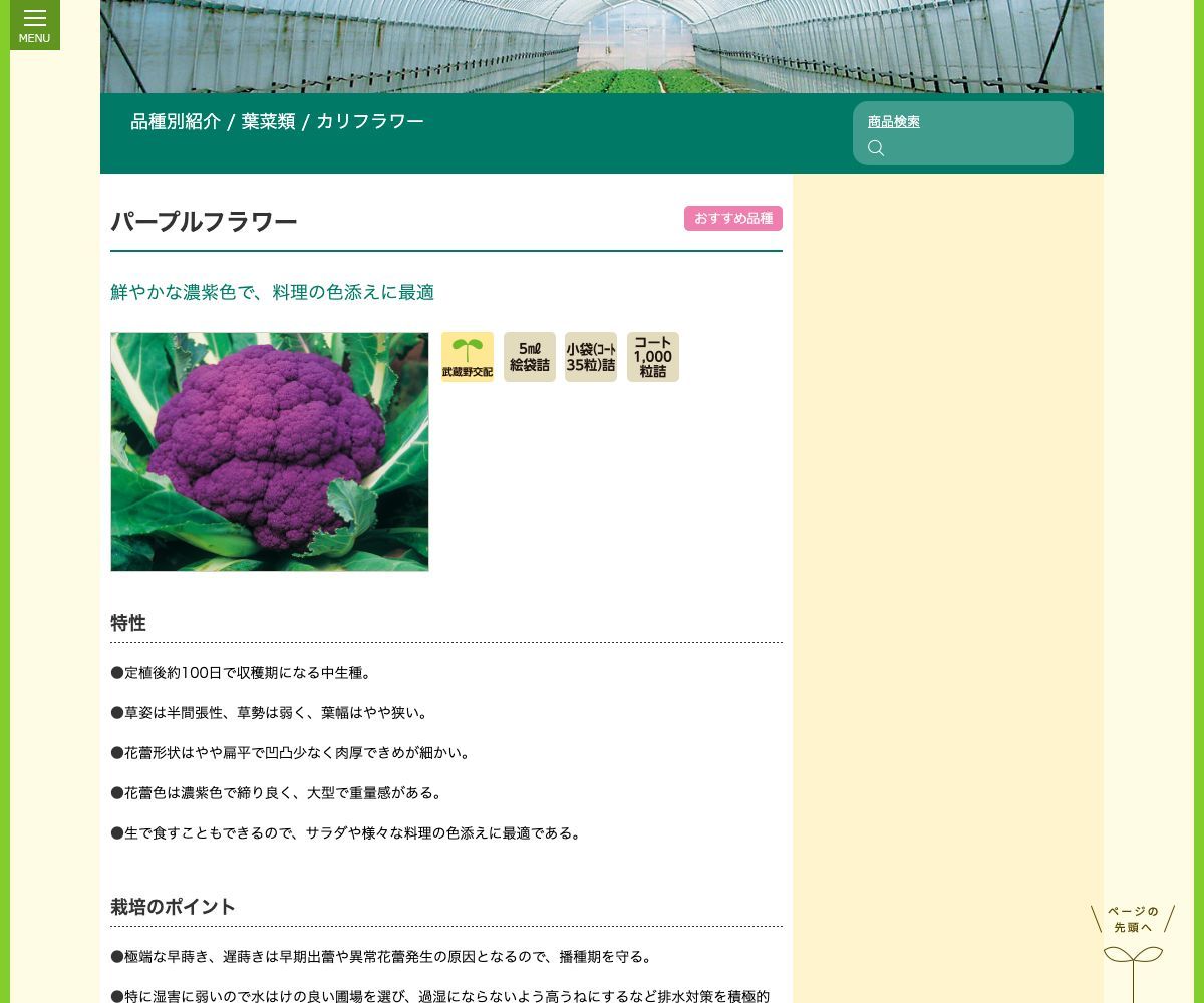 パープルフラワー