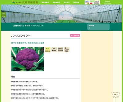 パープルフラワーの画像