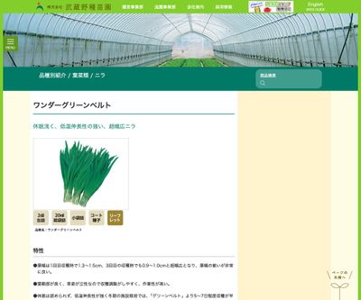 ワンダーグリーンベルトの画像