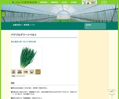 パワフルグリーンベルトの画像