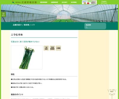 ニラむすめの画像