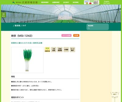 時宗（MSI-1242）の画像