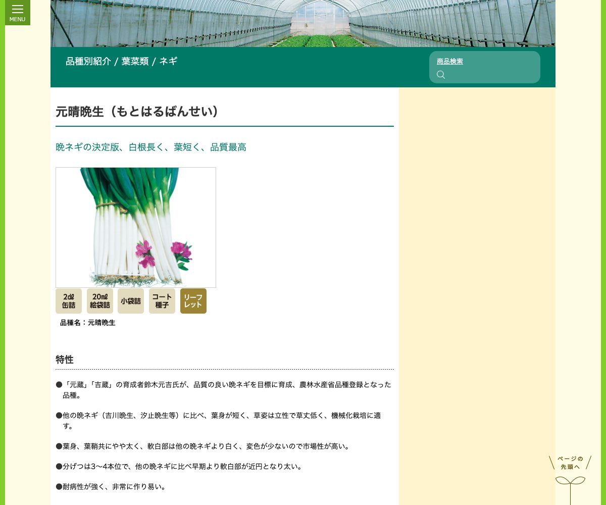 元晴晩生(もとはるばんせい)