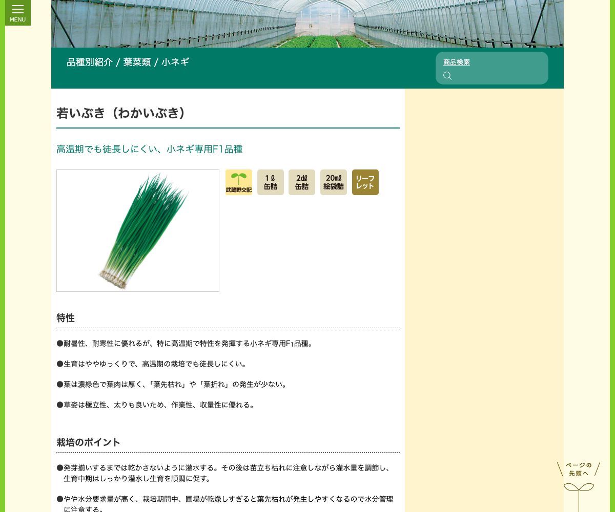 若いぶき(わかいぶき)