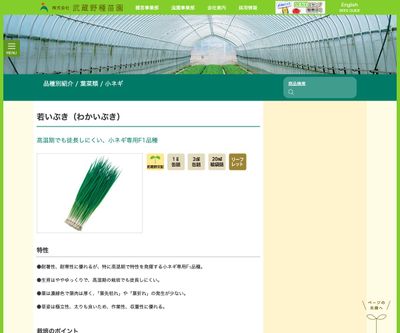 若いぶき（わかいぶき）の画像