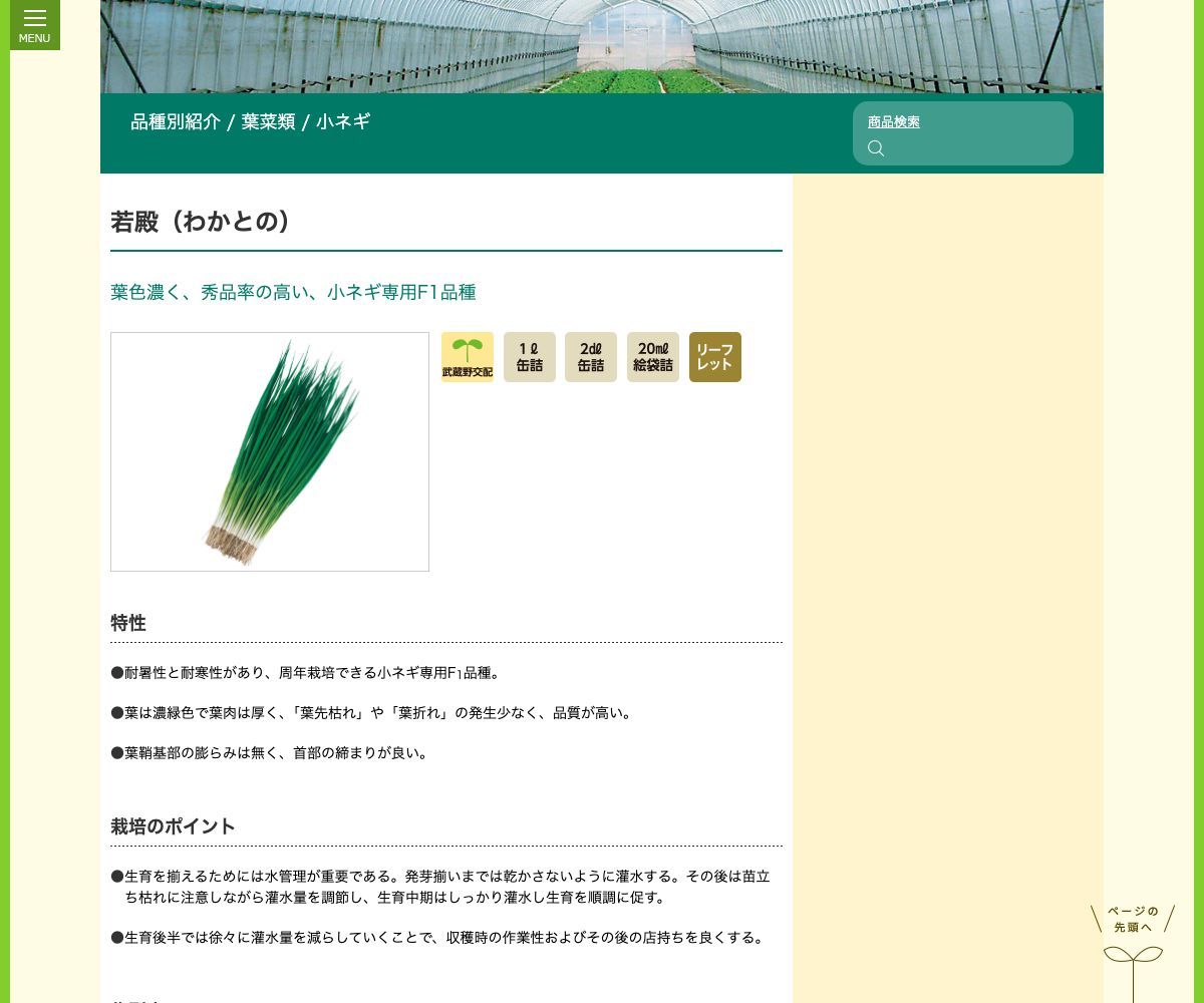 若殿(わかとの)