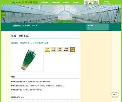 若殿（わかとの）の画像