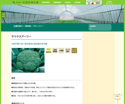 サリナスアーリーの画像