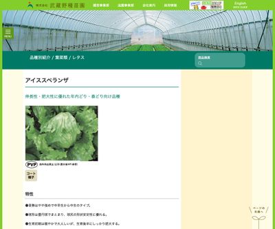 アイススペランザの画像