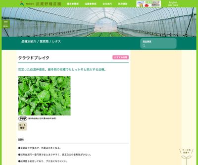 クラウドブレイクの画像