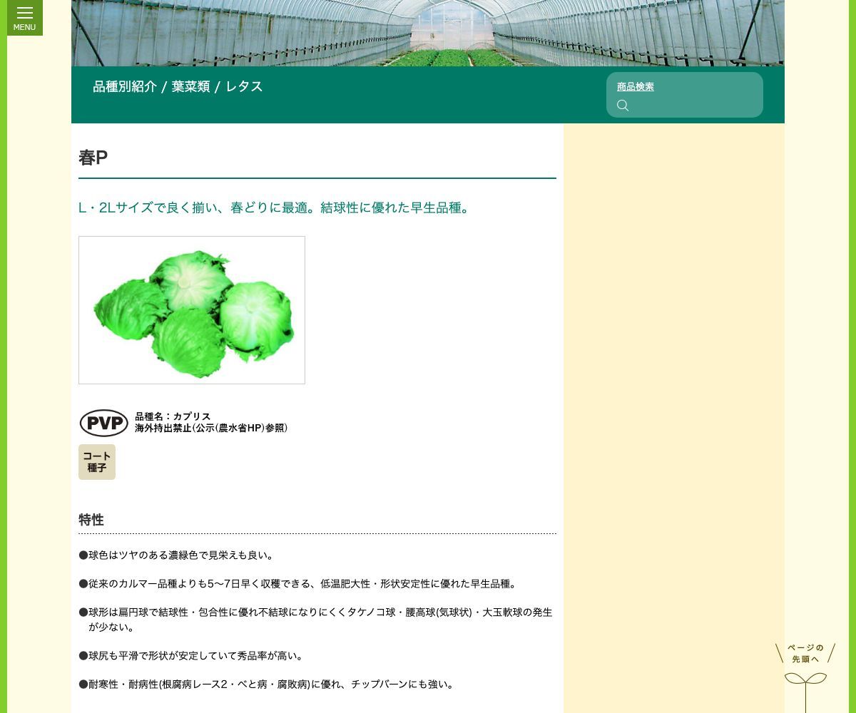 春P