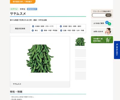 サヤムスメの画像