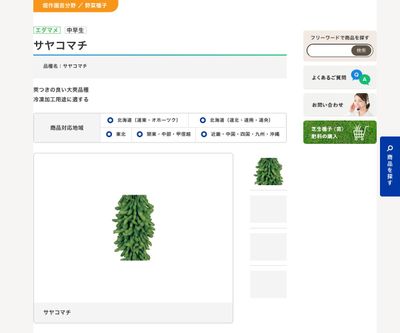 サヤコマチの画像