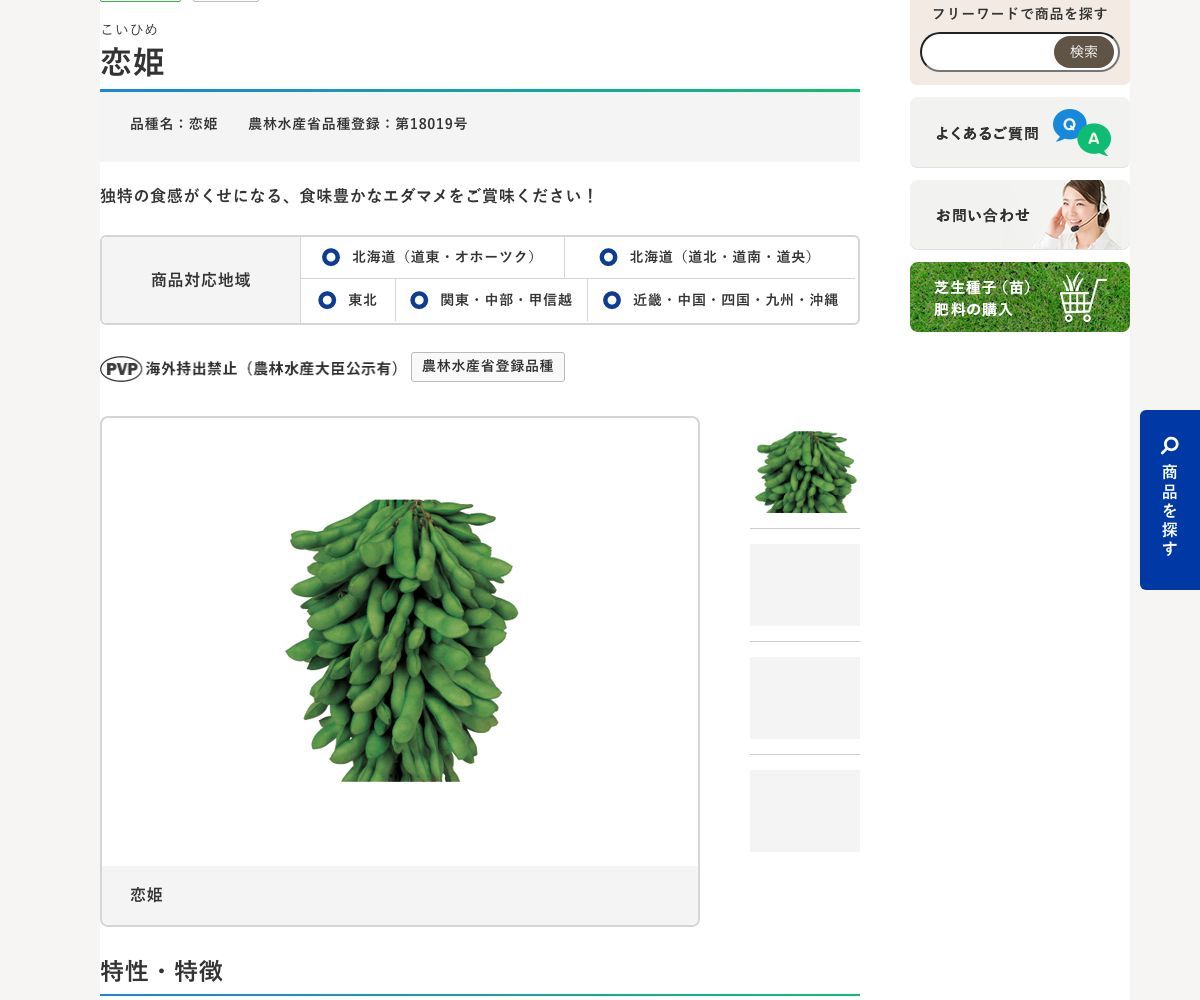 恋姫