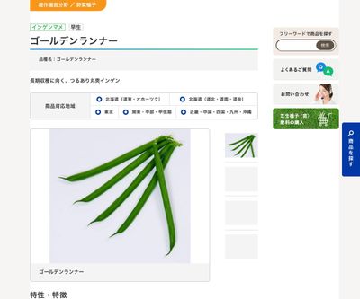 ゴールデンランナーの画像