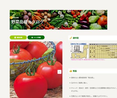 桃太郎ワンダー