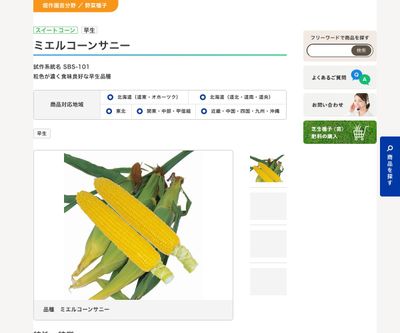 ミエルコーンサニーの画像