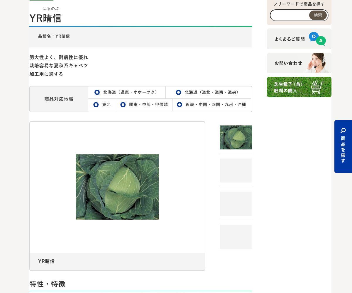 YR晴信