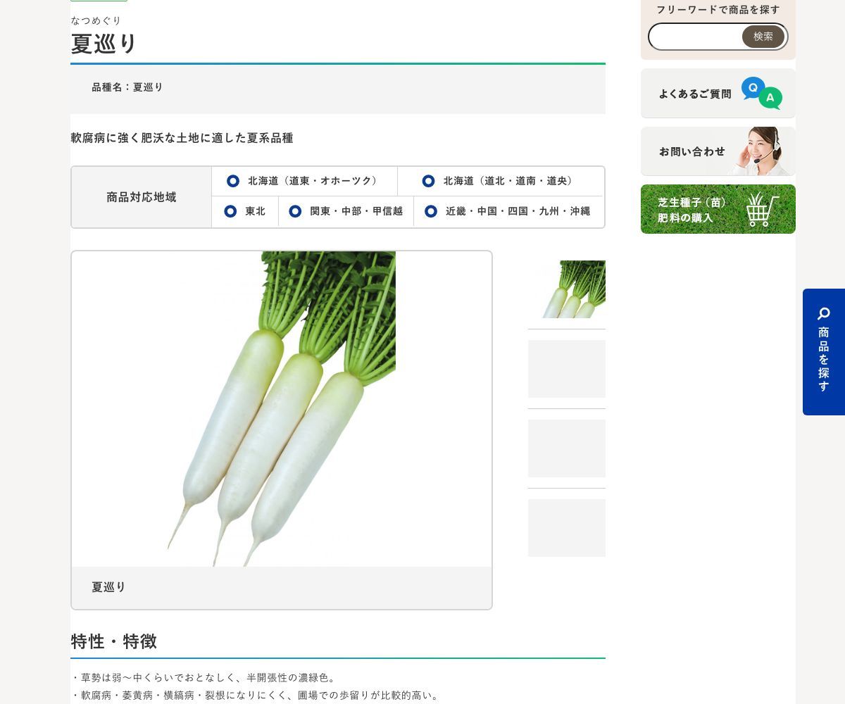 夏巡り