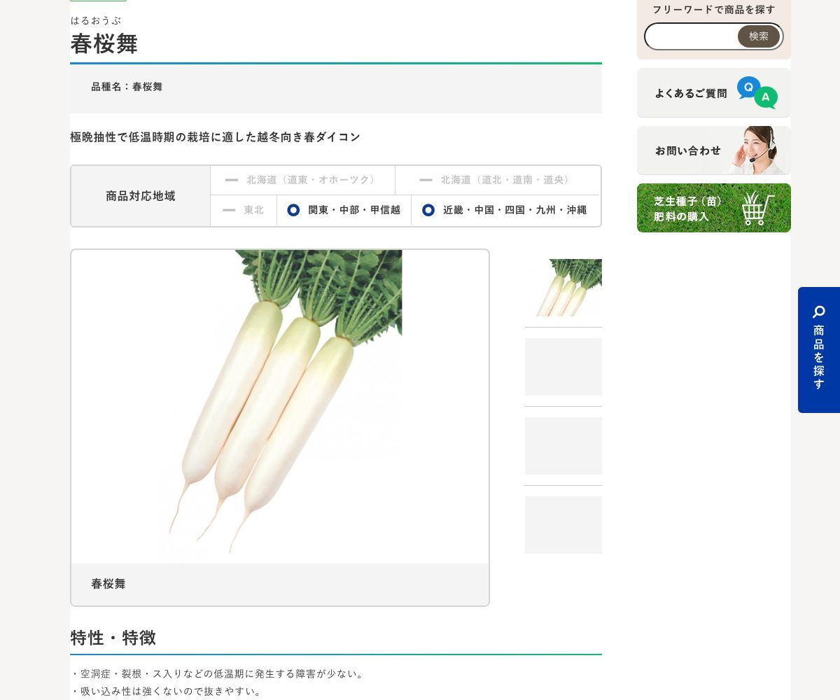 春桜舞