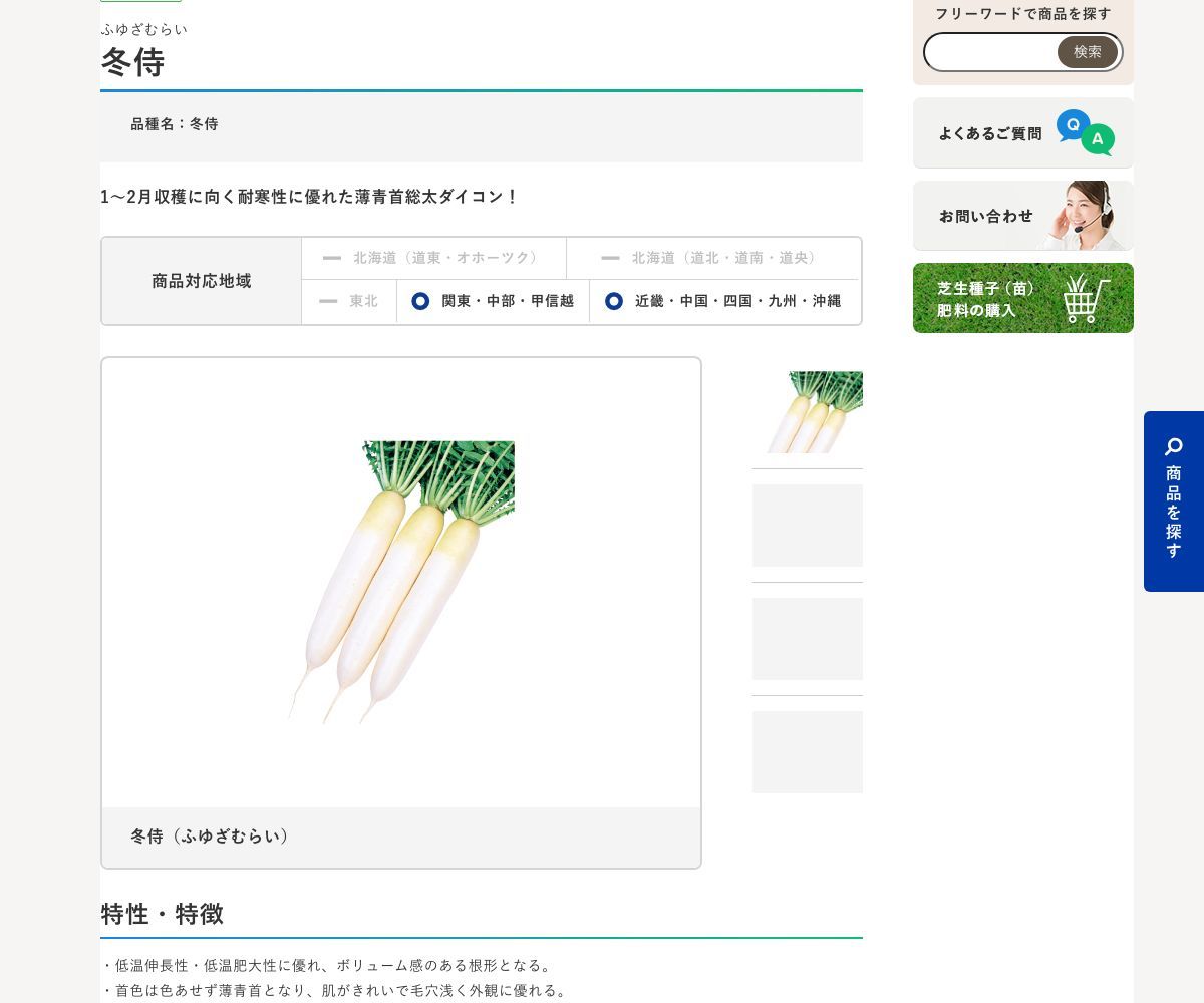 冬侍