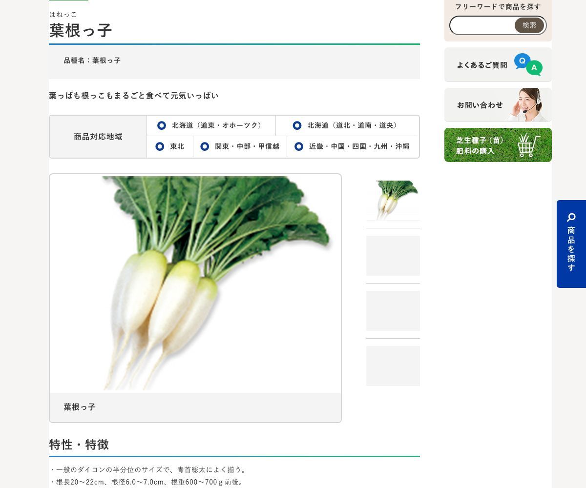 葉根っ子