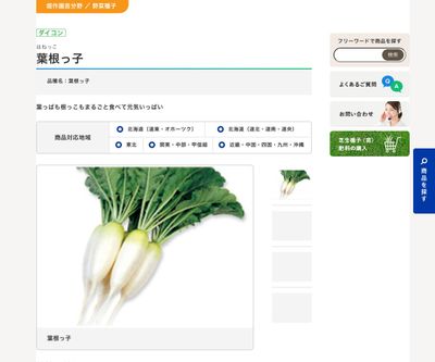 葉根っ子の画像