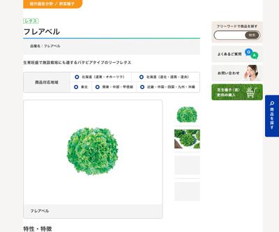 フレアベルの画像