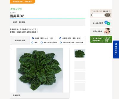 雪美菜02の画像