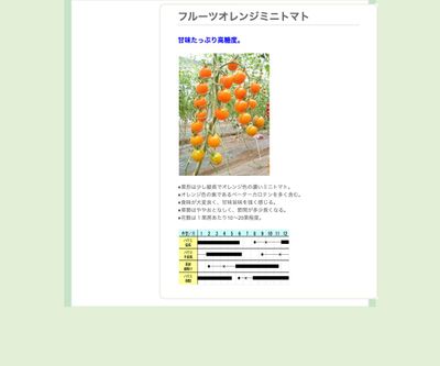 フルーツオレンジミニトマトの画像