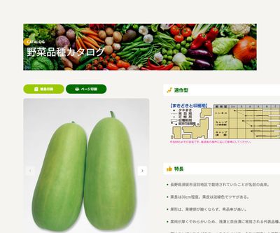 沼目白瓜の画像