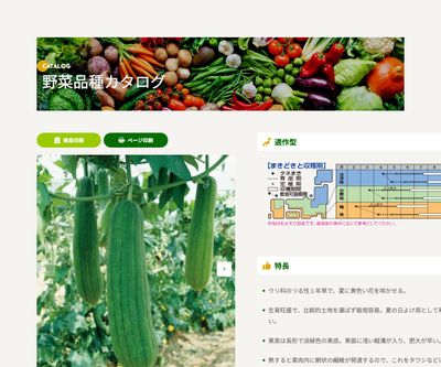 太へちまの画像