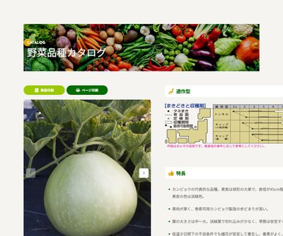 10貫目大丸かんぴょうの画像