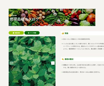 レモンバームの画像