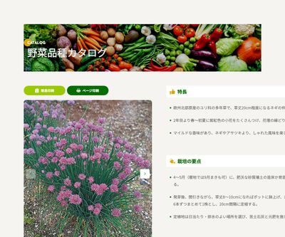 チャイブの画像