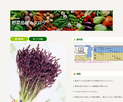 コーラルリーフ フェザーの画像