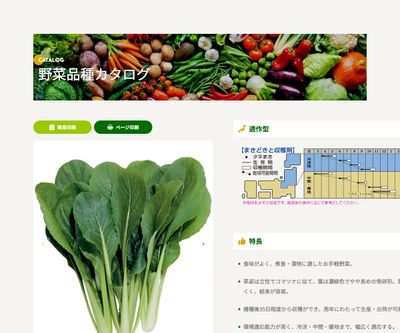 べんり菜の画像